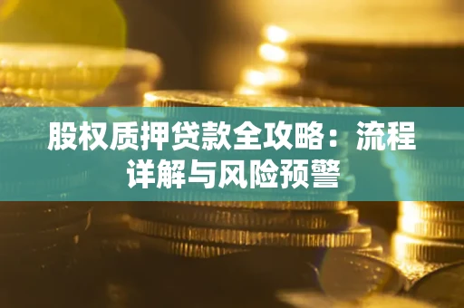 武汉股权质押贷款全攻略：流程详解与风险预警