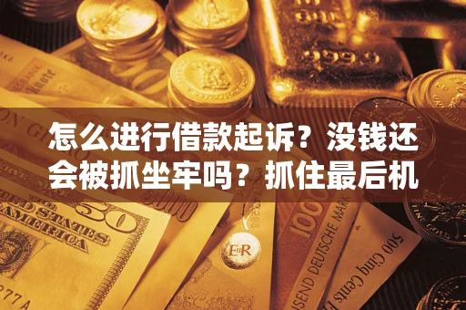 武汉怎么进行借款起诉？没钱还会被抓坐牢吗？抓住最后机会！