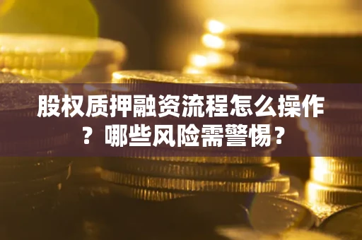 武汉股权质押融资流程怎么操作？哪些风险需警惕？