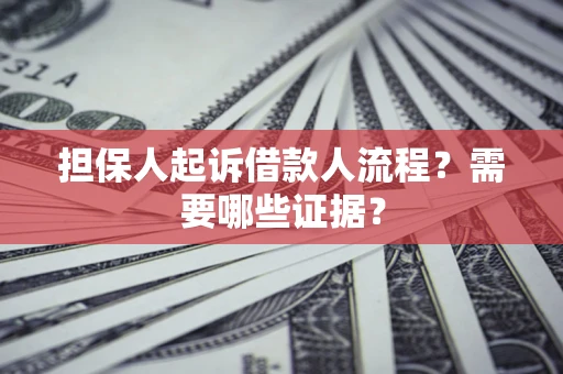 武汉担保人起诉借款人流程？需要哪些证据？