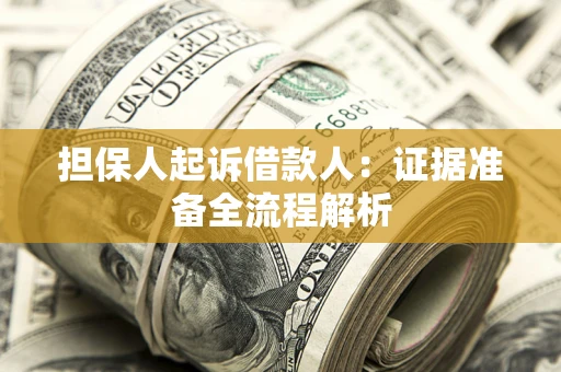 武汉担保人起诉借款人：证据准备全流程解析