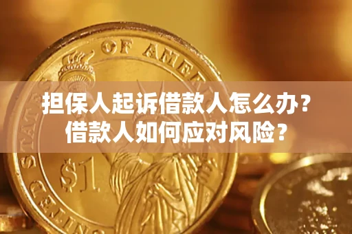 武汉担保人起诉借款人怎么办？借款人如何应对风险？