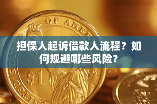 武汉担保人起诉借款人流程？如何规避哪些风险？