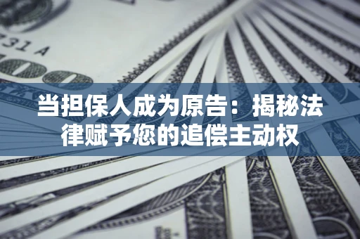 武汉当担保人成为原告：揭秘法律赋予您的追偿主动权