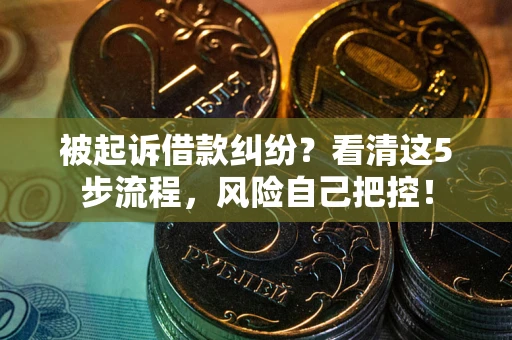 武汉被起诉借款纠纷？看清这5步流程，风险自己把控！