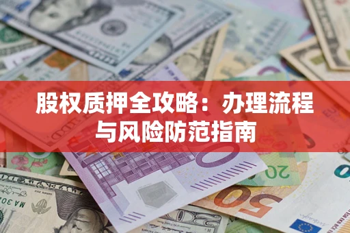武汉股权质押全攻略：办理流程与风险防范指南