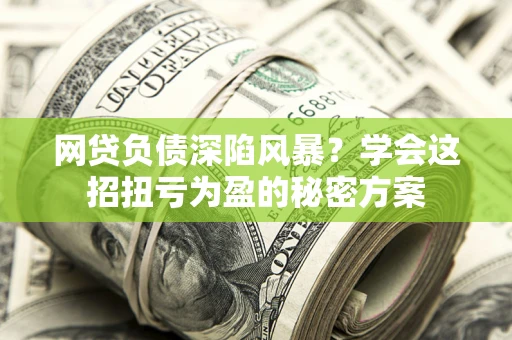 武汉网贷负债深陷风暴？学会这招扭亏为盈的秘密方案